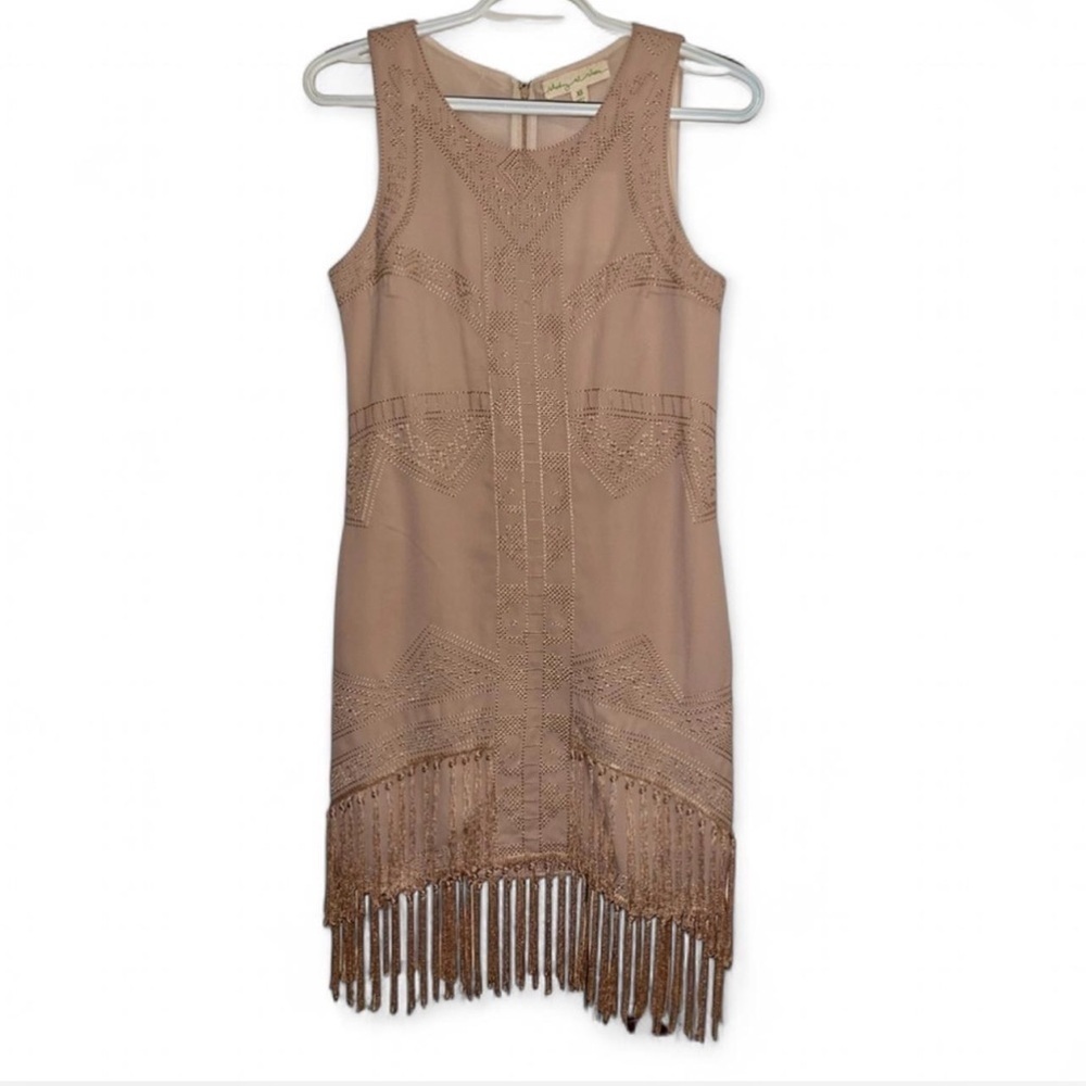 Staring at Stars Beige Fringe Mini Dress